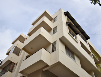 Renaissance Daffodils