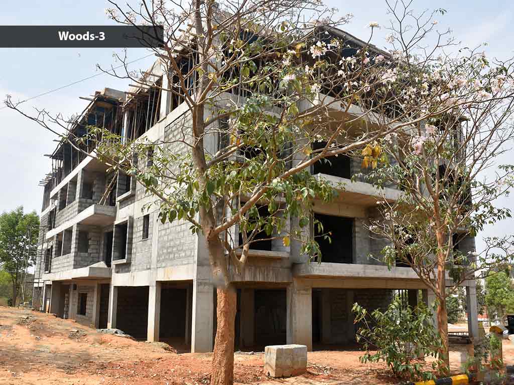 Construction Updates