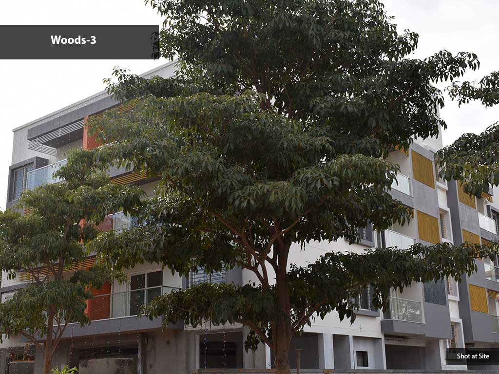 Construction Updates