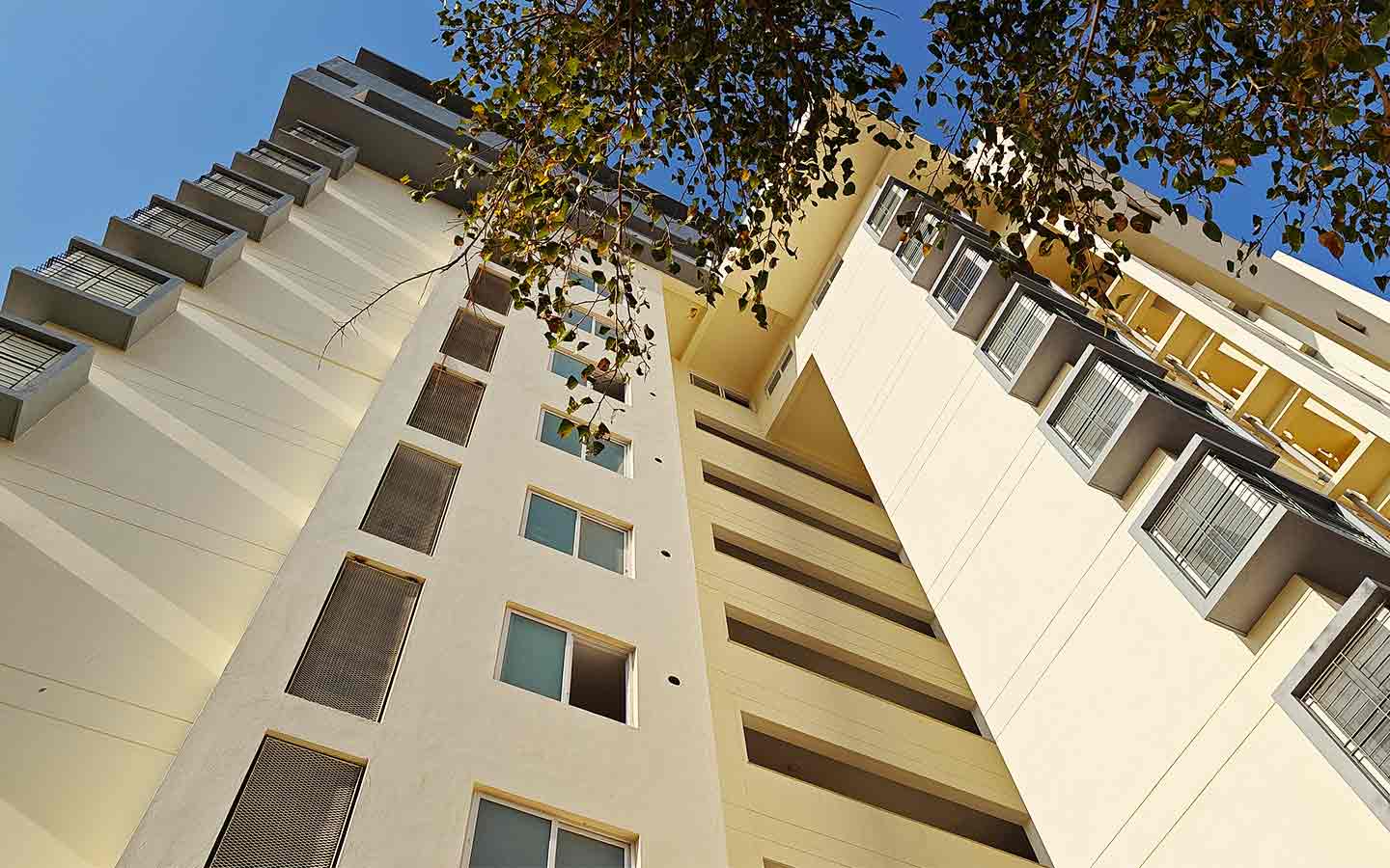 Construction Updates