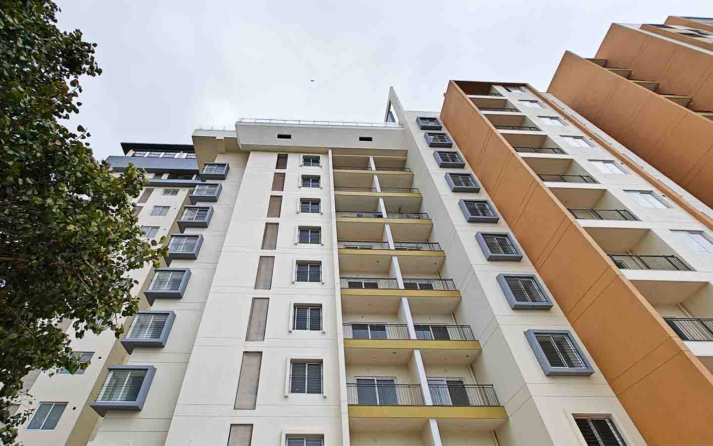 Construction Updates